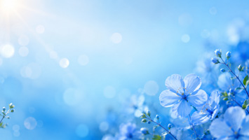 温柔蓝花与柔和光晕